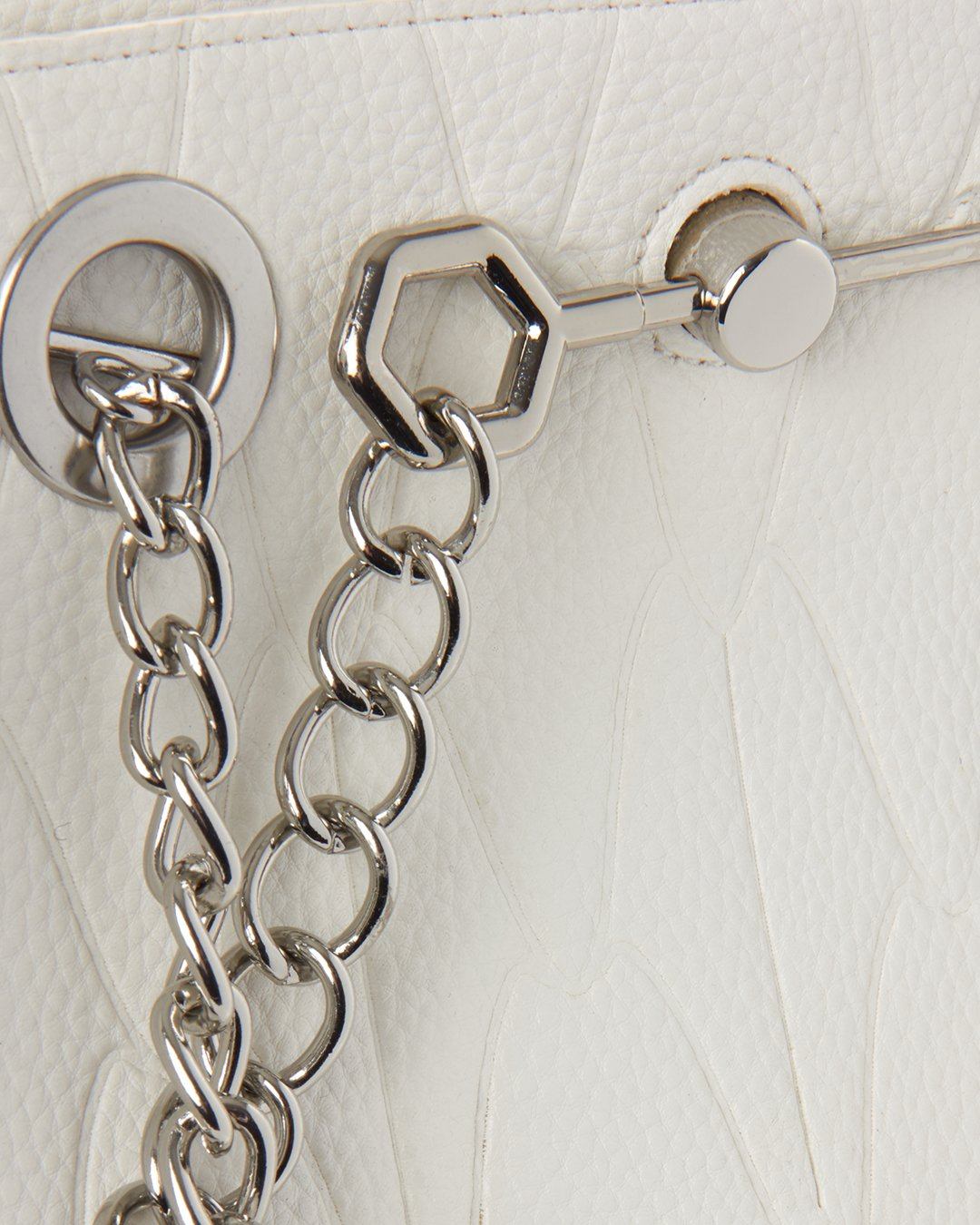 SHARKS OF THE WORLD TOTE